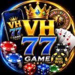 VH77 Game